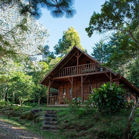 Cabanas El Coyote San Pablo  Dış mekan fotoğraf
