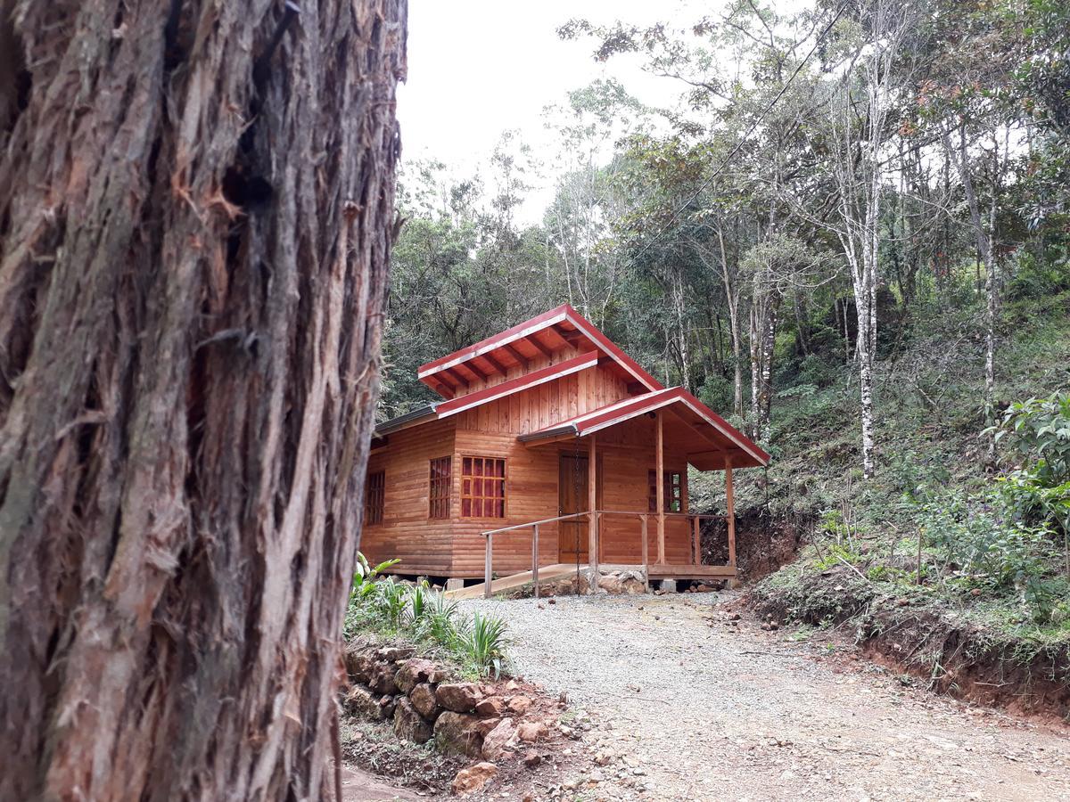 Cabanas El Coyote San Pablo  Dış mekan fotoğraf