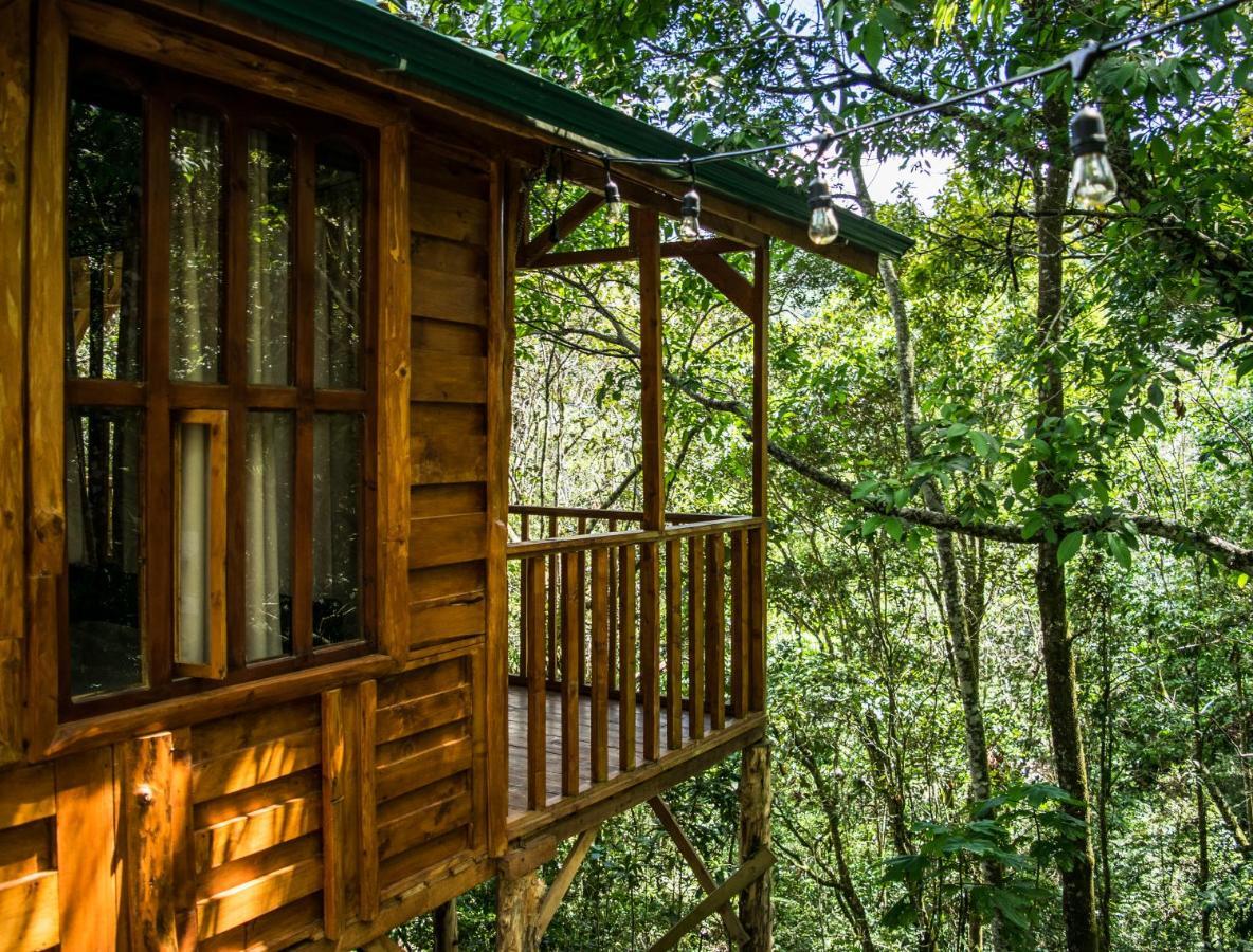 Cabanas El Coyote San Pablo  Dış mekan fotoğraf