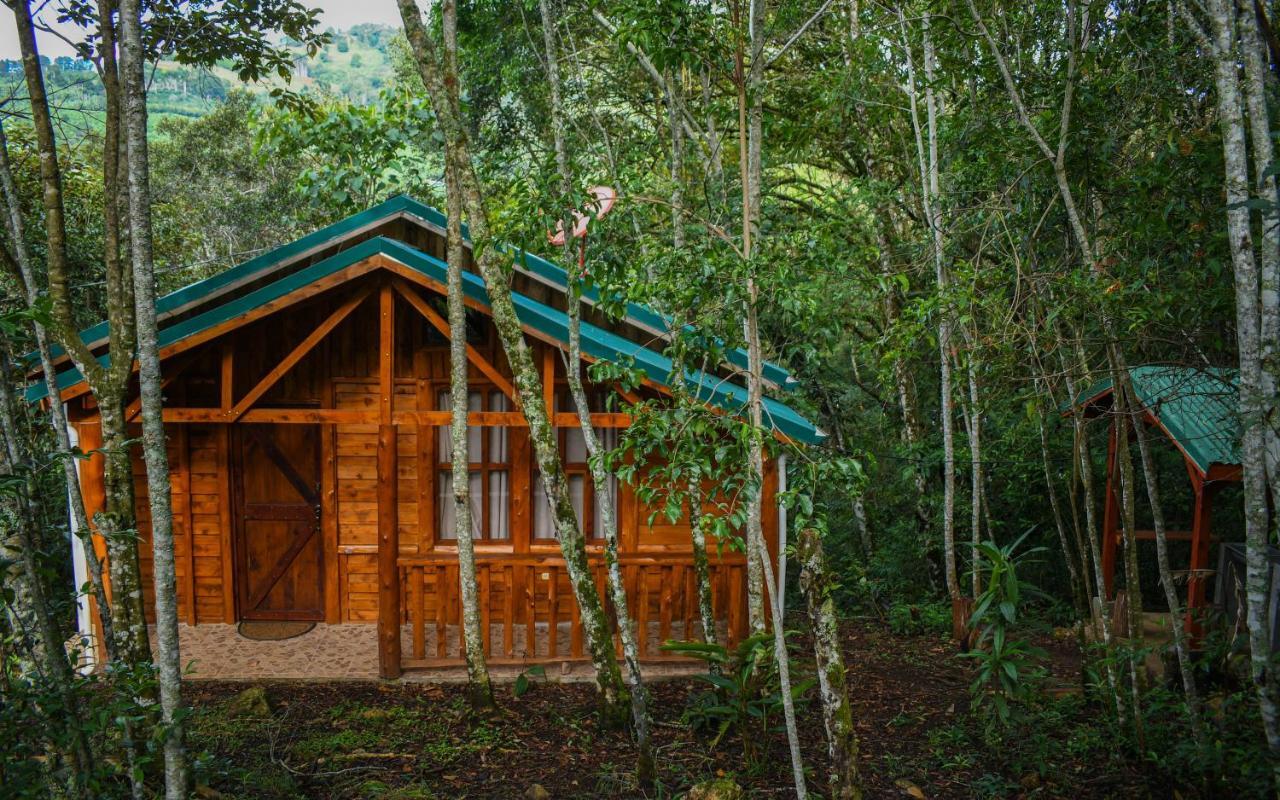 Cabanas El Coyote San Pablo  Dış mekan fotoğraf